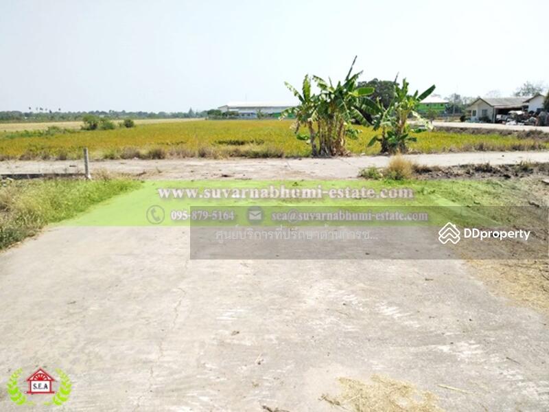 ขาย - ขาย ที่ดิน 200 ตารางวา ลำลูกกา ปทุมธานี