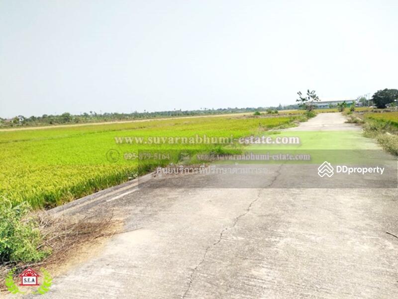 ขาย - ขาย ที่ดิน 200 ตารางวา ลำลูกกา ปทุมธานี