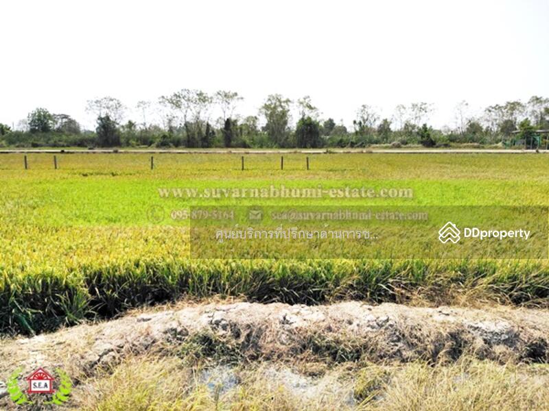 ขาย - ขาย ที่ดิน 200 ตารางวา ลำลูกกา ปทุมธานี