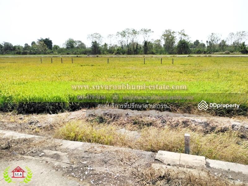 ขาย - ขาย ที่ดิน 200 ตารางวา ลำลูกกา ปทุมธานี