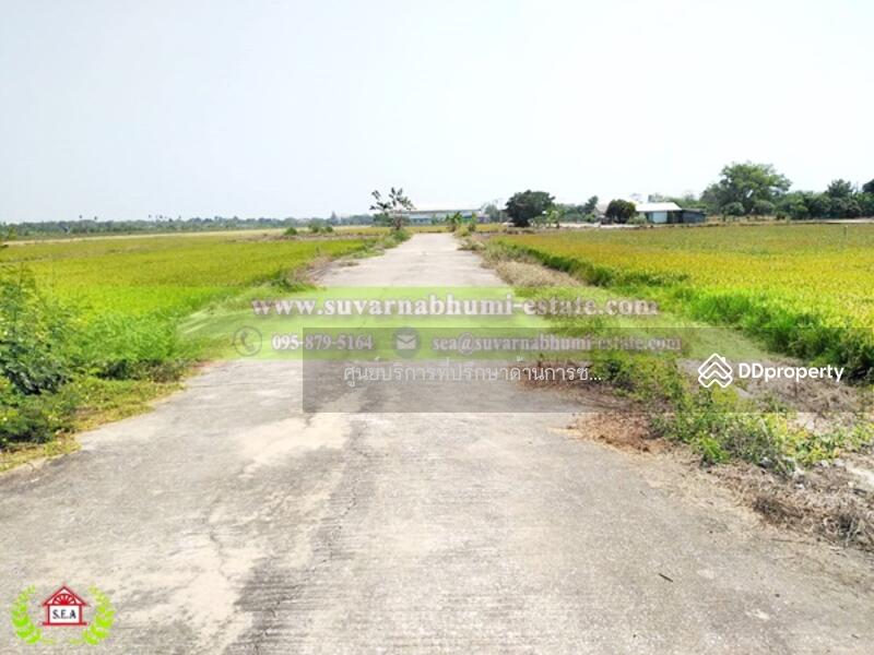ขาย - ขาย ที่ดิน 200 ตารางวา ลำลูกกา ปทุมธานี