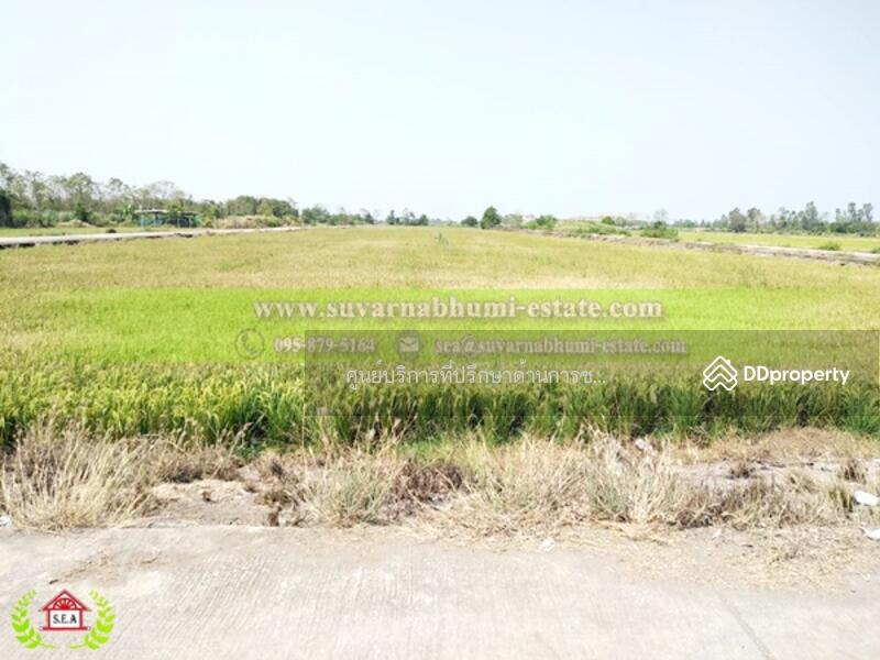 ขาย - ขาย ที่ดิน 200 ตารางวา ลำลูกกา ปทุมธานี