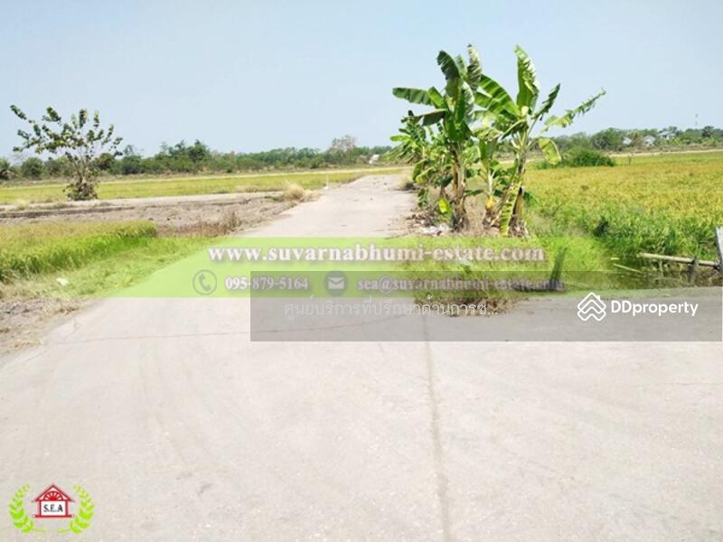 ขาย - ขาย ที่ดิน 200 ตารางวา ลำลูกกา ปทุมธานี