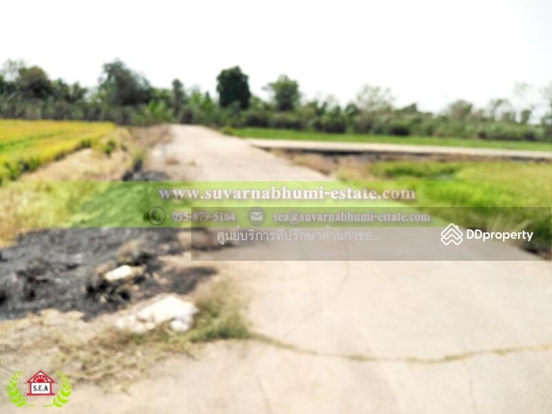 ขาย - ขาย ที่ดิน 200 ตารางวา ลำลูกกา ปทุมธานี