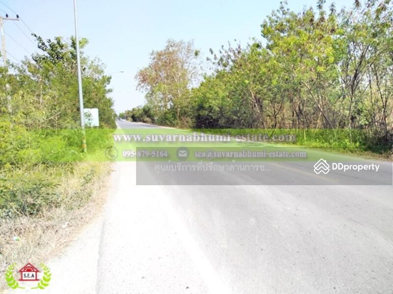 ขาย - ขาย ที่ดิน 200 ตารางวา ลำลูกกา ปทุมธานี