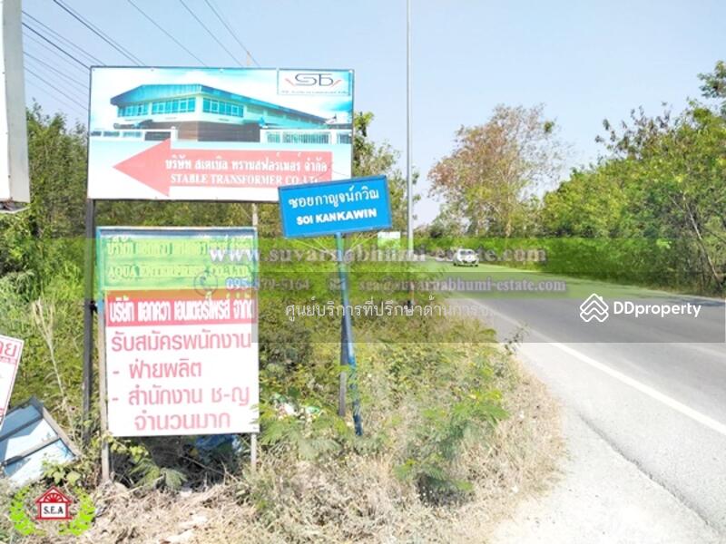 ขาย - ขาย ที่ดิน 200 ตารางวา ลำลูกกา ปทุมธานี
