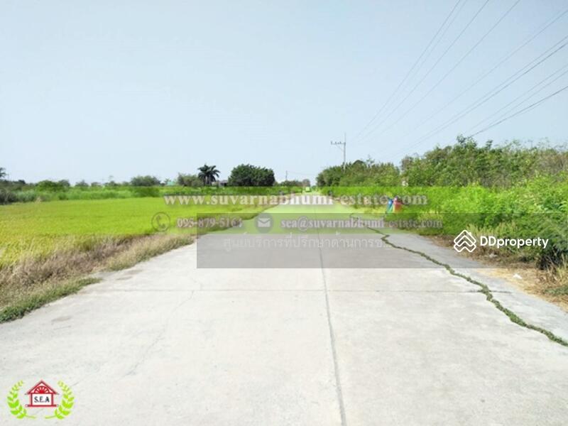 ขาย - ขาย ที่ดิน 200 ตารางวา ลำลูกกา ปทุมธานี