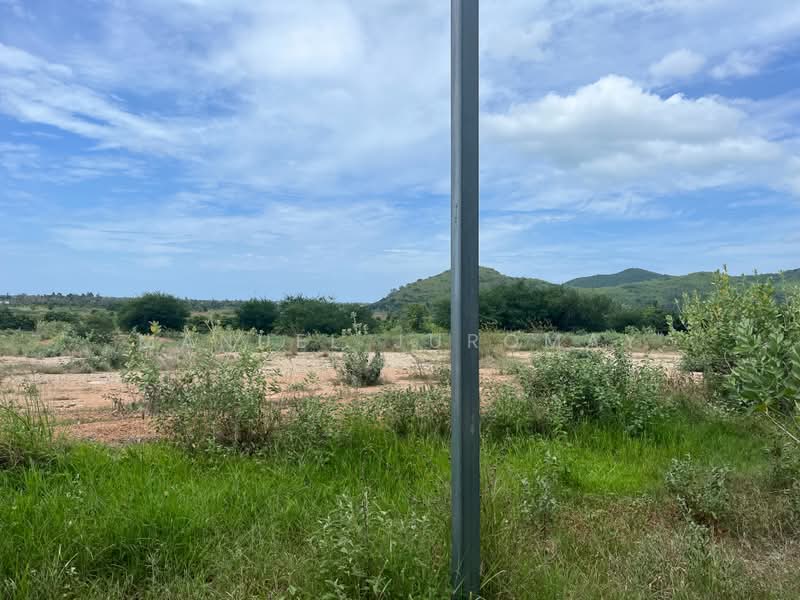 17 rais mini-farm, ประจวบคีรีขันธ์, Khao Kwang Road, ปากน้ำปราณ, ปราณบุรี, ประจวบคีรีขันธ์, 27,200 ตร.ม., ที่ดิน ขาย, โดย Manuel Juromay, 8760363 - DDproperty.com