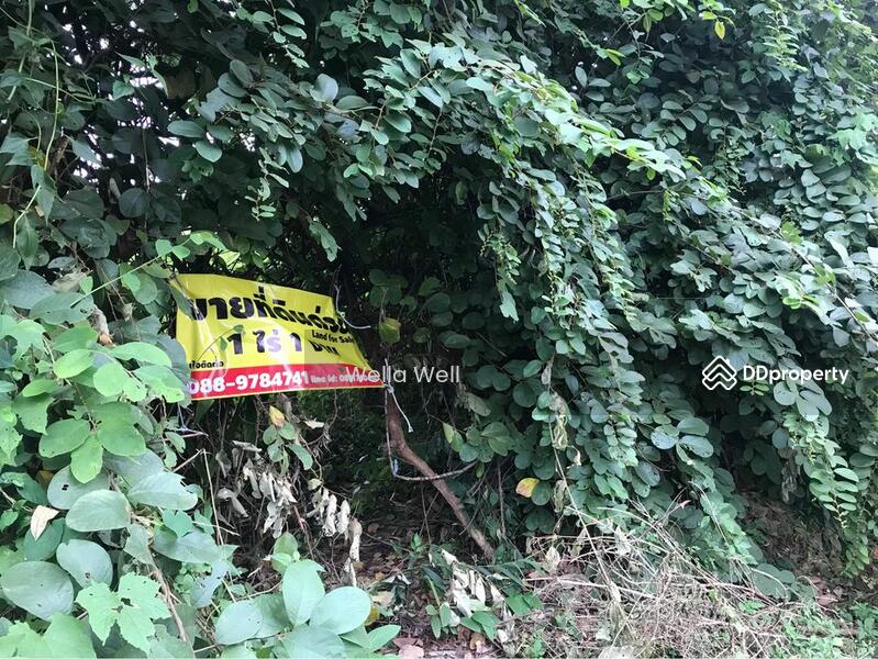 ขาย - ที่ดินในตัวเมืองเชียงของ, เชียงราย