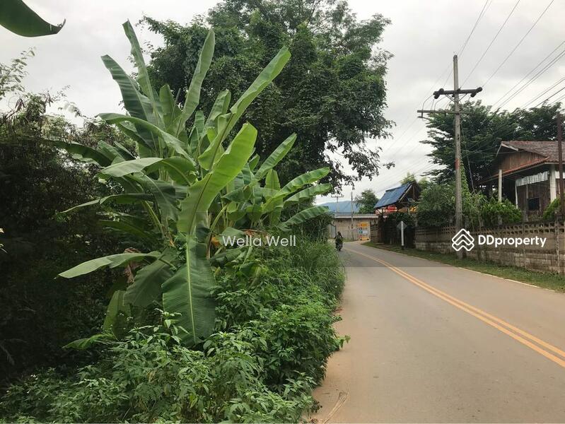 ขาย - ที่ดินในตัวเมืองเชียงของ, เชียงราย