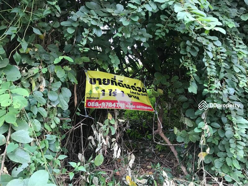 For Sale - ที่ดินในตัวเมืองเชียงของ, Chiang Rai