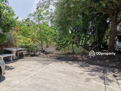 ขาย - ที่ดินเปล่า, ปทุมธานี