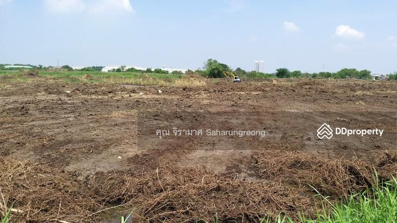 ขายที่ดิน17ไร่ครึงใกล้นิคมอมตะชลบุรี, Chachoengsao, 6777 เทศบาล6/2, Bang Pakong, Bang Pakong, Chachoengsao, , 28,508 sqm, Land For Sale, by คุณ จิรามาศ, 8787030 - DDproperty.com