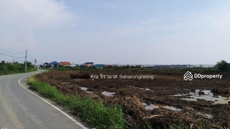 ขายที่ดิน17ไร่ครึงใกล้นิคมอมตะชลบุรี, ฉะเชิงเทรา, 6777 เทศบาล6/2, บางปะกง, บางปะกง, ฉะเชิงเทรา, 28,508 ตร.ม., ที่ดิน ขาย, โดย คุณ จิรามาศ Saharungreong, 8787030 - DDproperty.com