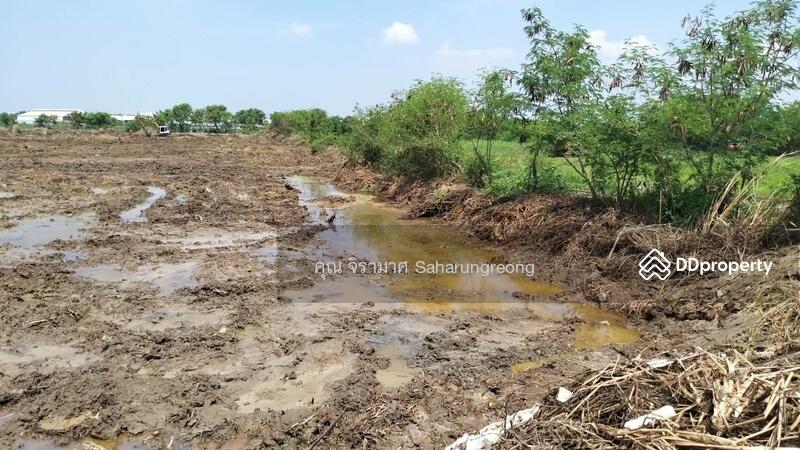 ขายที่ดิน17ไร่ครึงใกล้นิคมอมตะชลบุรี, Chachoengsao, 6777 เทศบาล6/2, Bang Pakong, Bang Pakong, Chachoengsao, , 28,508 sqm, Land For Sale, by คุณ จิรามาศ, 8787030 - DDproperty.com