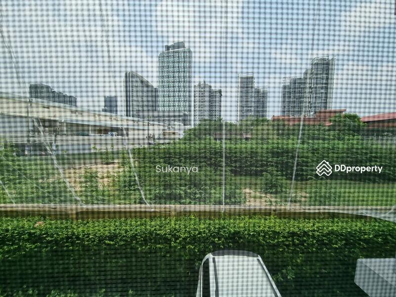 MY Condo Sukhumvit 52, Bangkok, Sukhumvit 52 Road, Bang Chak, Phra Khanong, Bangkok, 1 Bedroom, 35 sqm, Condo For Rent, by Ti Nitipat, 8793860 - DDproperty.com