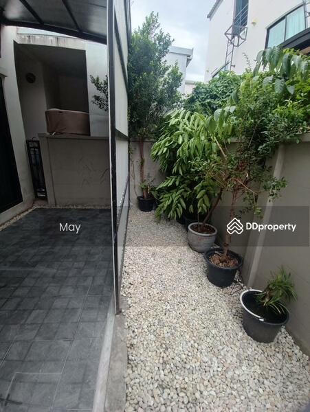บ้านกลางเมือง ศรีนครินทร์อ่อนนุช, Bangkok, Prawet, Bangkok, 3 Bedrooms, 150 sqm, Single Detached House For Rent, by May, 8797161 - DDproperty.com