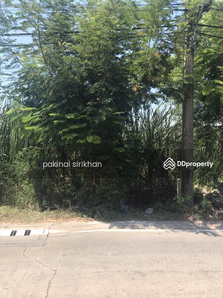 ขาย - ที่ดินเปล่า สวยมาก ซอยเพชรเกษม 126, สมุทรสาคร