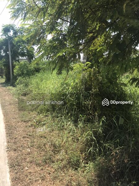 For Sale - ที่ดินเปล่า สวยมาก ซอยเพชรเกษม 126, Samut Sakhon