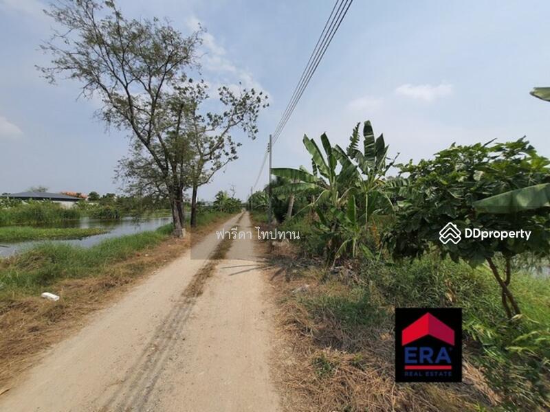 ขายที่ดินสมุทรปราการ ถนนบางนาตราด กม.5 อำเภอบางพลี ออกศรีนครินทร์ได้, สมุทรปราการ, บางนาตราด, บางแก้ว, บางพลี, สมุทรปราการ, 2,252 ตร.ม., ที่ดิน ขาย, โดย ฟารีดา ไทปทาน, 8802585 - DDproperty.com