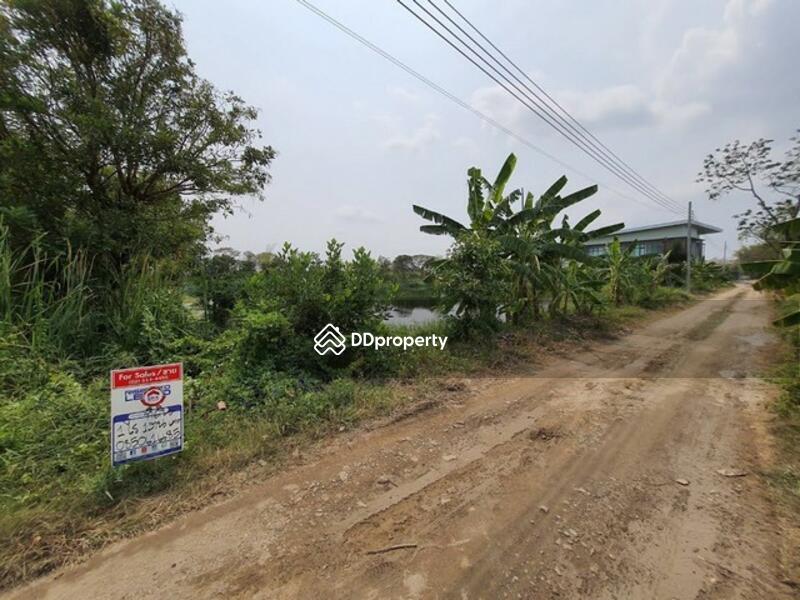 ขายที่ดินสมุทรปราการ ถนนบางนาตราด กม.5 อำเภอบางพลี ออกศรีนครินทร์ได้, สมุทรปราการ, บางนาตราด, บางแก้ว, บางพลี, สมุทรปราการ, 2,252 ตร.ม., ที่ดิน ขาย, โดย ฟารีดา ไทปทาน, 8802585 - DDproperty.com