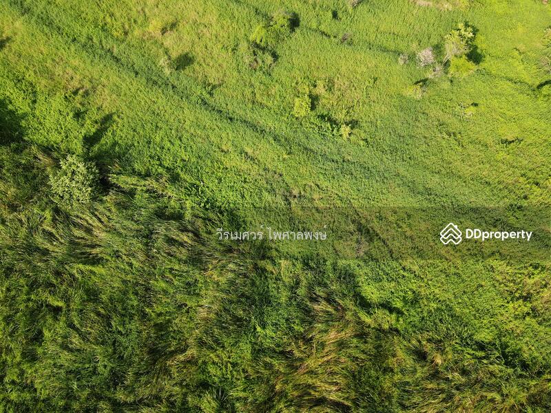 ขายถูก ที่ดินแปลงใหญ่—ติดถนนอ่อนนุช กว้าง 6 เลน (เหมาะสร้าง สำนักงาน+โครงการจัดสรร) 29-0-54 ไร่