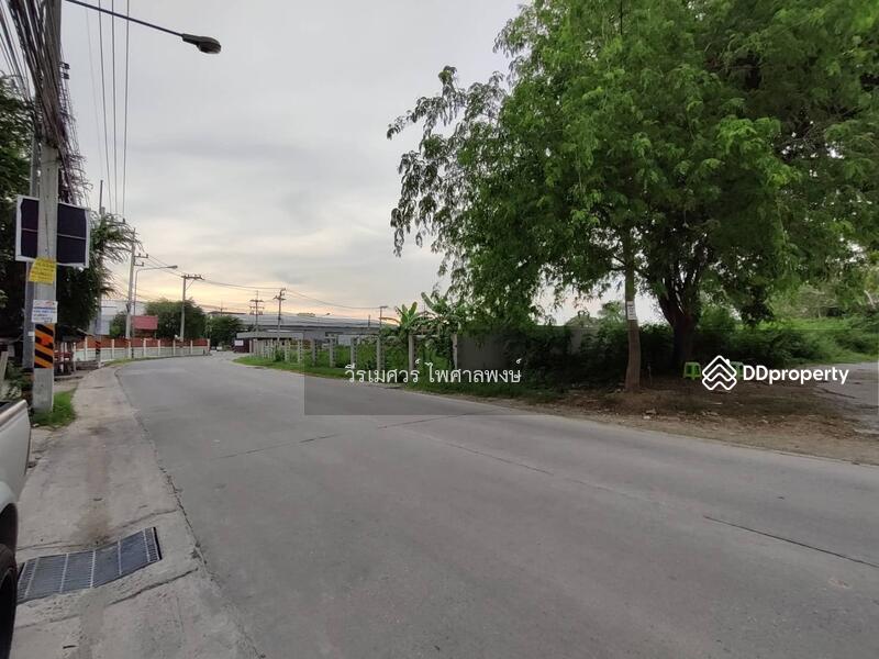 ขายถูก ที่ดินใกล้หาดบางแสน จ.ชลบุรี (เหมาะสร้าง คอนโด อพาร์ทเม้นท์) 388 ตร.ว. ถนนกว้าง 8 m.