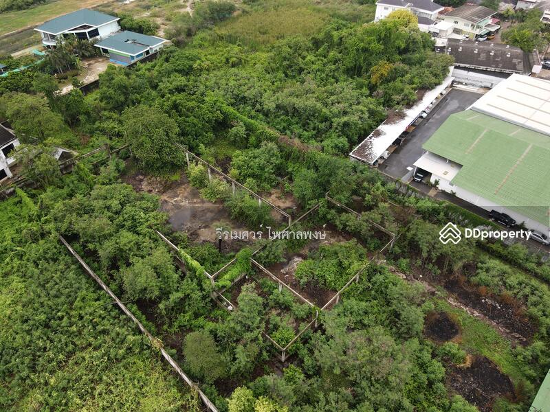 ขายที่ดิน ต.ธรรมศาลา อ.เมืองนครปฐม—ติดถนนเพชรเกษม (แหล่งสร้าง Showroom อ.เมืองนครปฐม) 9-1-38 ไร่