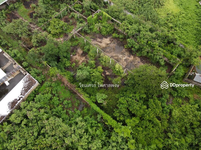 ขายที่ดิน ต.ธรรมศาลา อ.เมืองนครปฐม—ติดถนนเพชรเกษม (แหล่งสร้าง Showroom อ.เมืองนครปฐม) 9-1-38 ไร่