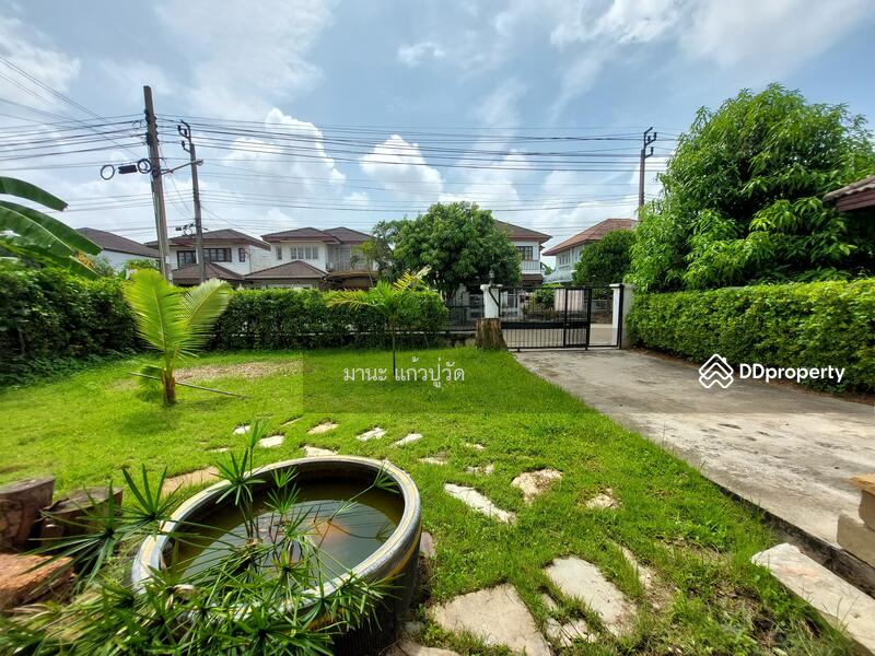 mn, Bangkok, พุทธมณฑลสาย3, Sala Thammasop, Thawi Watthana, Bangkok, 3 Bedrooms, 200 sqm, Single Detached House For Rent, by กุลจิรา อภัยโส, 8810900 - DDproperty.com