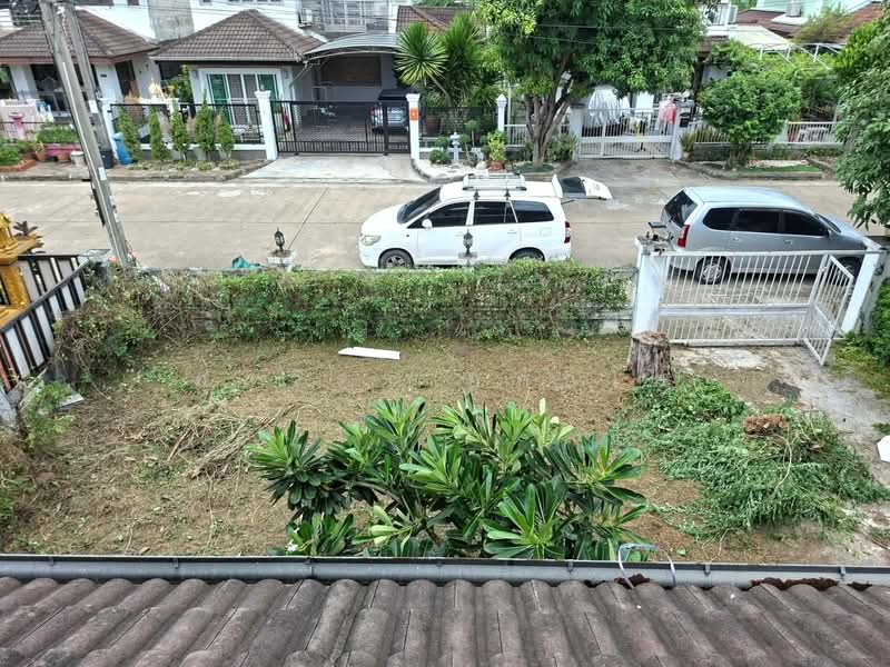 mn, Bangkok, พุทธมณฑลสาย3, Sala Thammasop, Thawi Watthana, Bangkok, 3 Bedrooms, 200 sqm, Single Detached House For Rent, by กุลจิรา อภัยโส, 8810900 - DDproperty.com