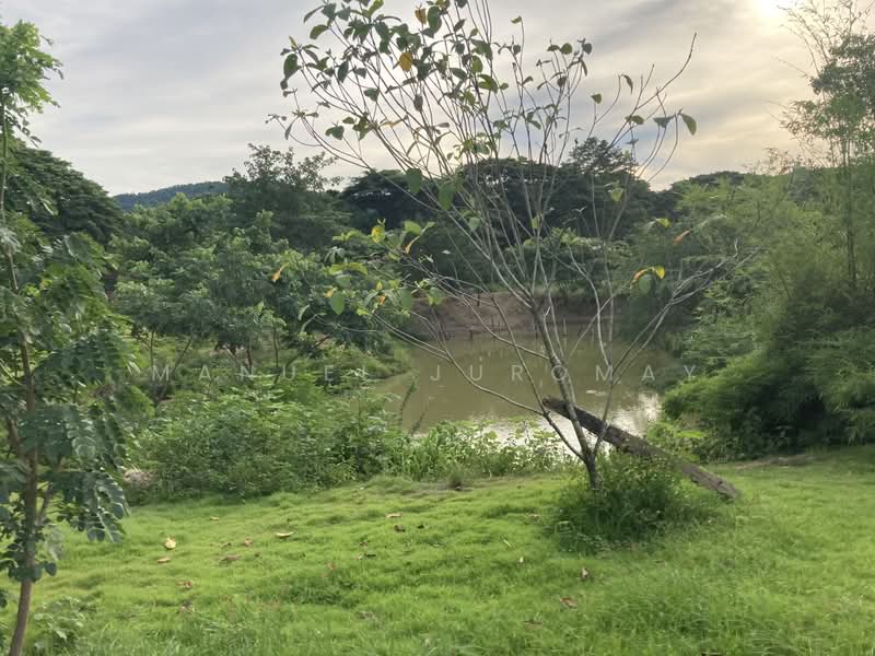 Puthan Namsai Resort, สระบุรี, มิตรภาพ, มวกเหล็ก, สระบุรี, 96,000 ตร.ม., ที่ดิน ขาย, โดย Manuel Juromay, 8821358 - DDproperty.com