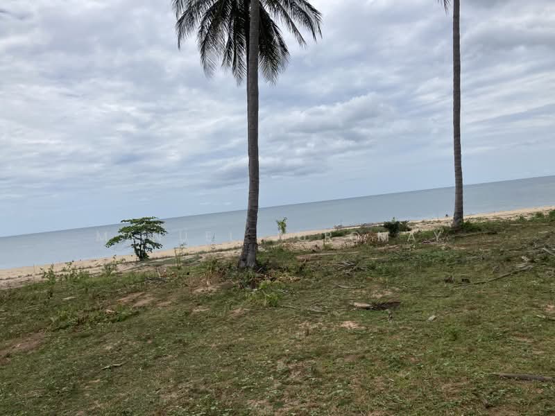 77130, ประจวบคีรีขันธ์, Prachuab Khirikhan Thap sakae, ทับสะแก, ประจวบคีรีขันธ์, 41,600 ตร.ม., ที่ดิน ขาย, โดย Manuel Juromay, 8821372 - DDproperty.com