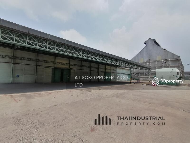 โกดังให้เช่า โรงงานให้เช่า 4680 ตรม สำโรงกลาง, พระประแดง, สมุทรปราการ (ID: AT221R), สมุทรปราการ, สำโรงกลาง, พระประแดง, สมุทรปราการ, 4,680 ตร.ม., Warehouse/Factory ให้เช่า, โดย AT SOKO PROPERTY CO., LTD, 8828258 - DDproperty.com