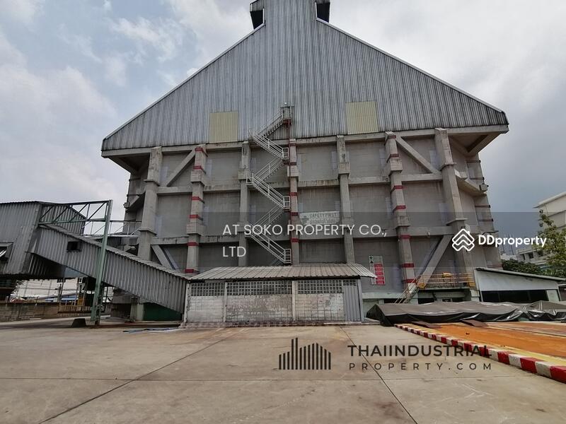 Factory or Warehouse 4680 sqm for RENT at Samrong Klang, Phra Pradaeng, Samut Prakan (ID: AT221R), Samut Prakan, Sam Rong Klang, Phra Pra Daeng, Samut Prakan, , 4,680 sqm, Warehouse/Factory For Rent, by AT SOKO PROPERTY CO., LTD, 8828258 - DDproperty.com
