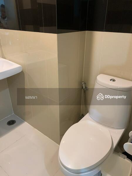 Iris Avenue Onnuch-Suvarnabhumi, Bangkok, Lat Krabang Road, Lat Krabang, Lat Krabang, Bangkok, 1 Bedroom, 30 sqm, Condo For Rent, by นันท์นภัส สิริเลิศเมฆาสกุล, 8831346 - DDproperty.com