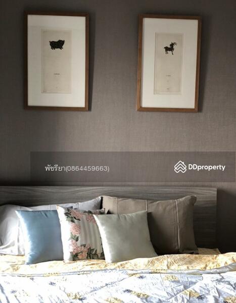 Chapter one Midtown Ladprao 24, กรุงเทพ, 432 ถนนลาดพร้าว, จอมพล, จตุจักร, กรุงเทพ, 24 ตร.ม., คอนโด ขาย, โดย Living Condo, 8836956 - DDproperty.com
