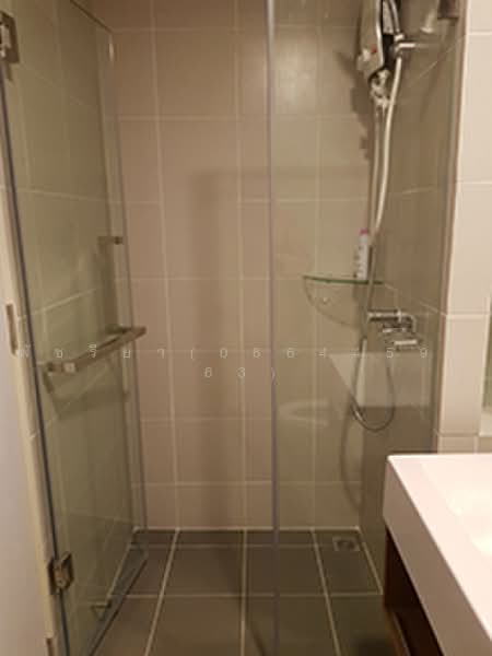 Kensington Kaset-Campus, Bangkok, Soi Phahon Yothin 49/1, Lat Yao, Chatuchak, Bangkok, 2 Bedrooms, 31 sqm, Condo For Rent, by Living Condo, 8845614 - DDproperty.com