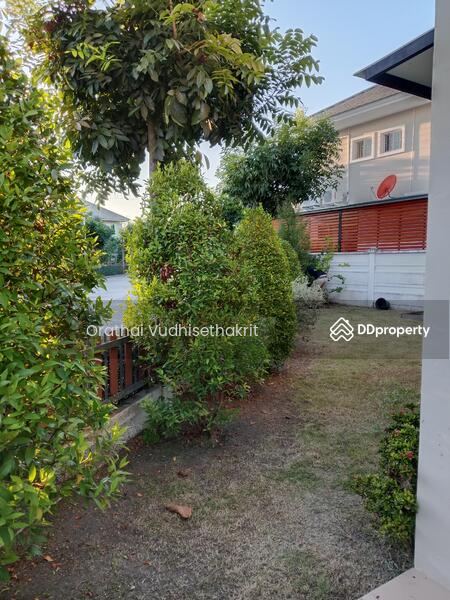 View of garden