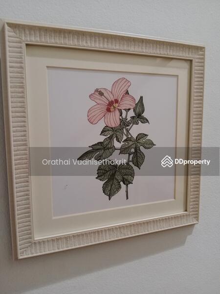 Picture frame