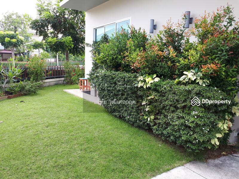 Front lawn
