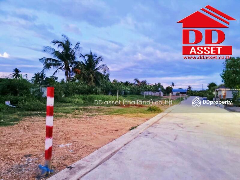 ขาย - ขายที่ดินถมแล้ว เมืองสมุทรสาคร สมุทรสาคร จำนวน 5 แปลงติดกัน ขนาด 287 ตารางวา แบ่งแปลงขาย, สมุทรสาคร