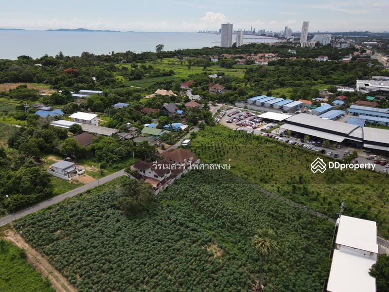 ขายถูก! ที่ดินพัทยา อ.สัตหีบ จ.ชลบุรี—ข้างShowroom MG (เหมาะสร้างบ้าน +สำนักงาน) 1-0-64 ไร่ 