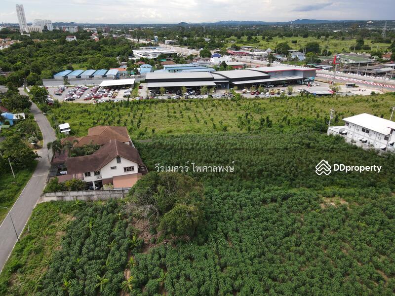 ขายถูก! ที่ดินพัทยา อ.สัตหีบ จ.ชลบุรี—ข้างShowroom MG (เหมาะสร้างบ้าน +สำนักงาน) 1-0-64 ไร่ 