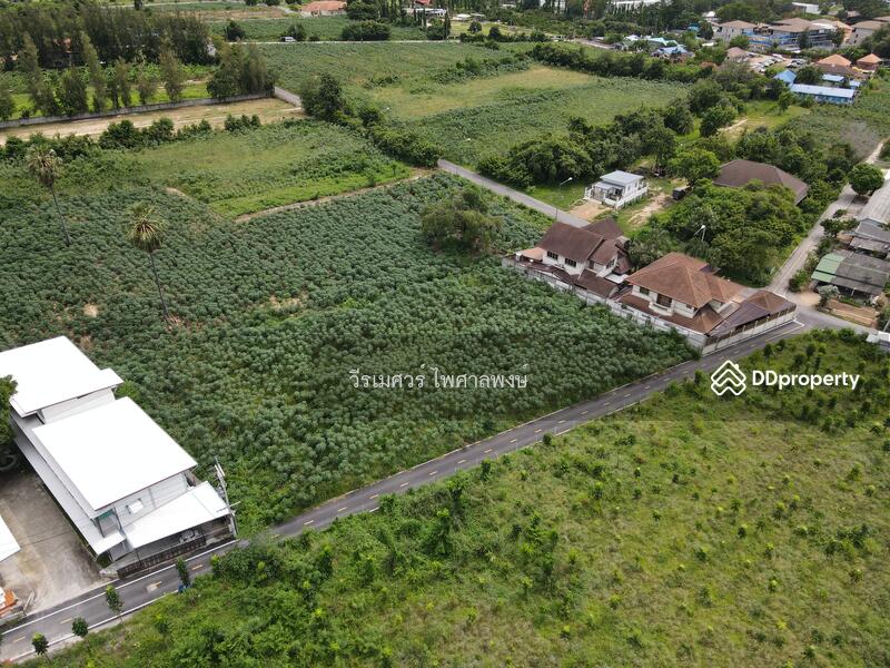 ขายถูก! ที่ดินพัทยา อ.สัตหีบ จ.ชลบุรี—ข้างShowroom MG (เหมาะสร้างบ้าน +สำนักงาน) 1-0-64 ไร่ 