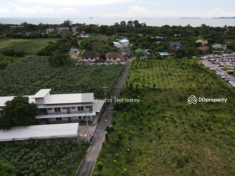 ขายถูก! ที่ดินพัทยา อ.สัตหีบ จ.ชลบุรี—ข้างShowroom MG (เหมาะสร้างบ้าน +สำนักงาน) 1-0-64 ไร่ 
