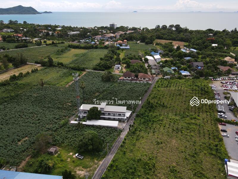 ขายถูก! ที่ดินพัทยา อ.สัตหีบ จ.ชลบุรี—ข้างShowroom MG (เหมาะสร้างบ้าน +สำนักงาน) 1-0-64 ไร่ 