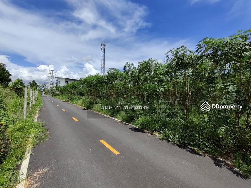 ขายถูก! ที่ดินพัทยา อ.สัตหีบ จ.ชลบุรี—ข้างShowroom MG (เหมาะสร้างบ้าน +สำนักงาน) 1-0-64 ไร่ 