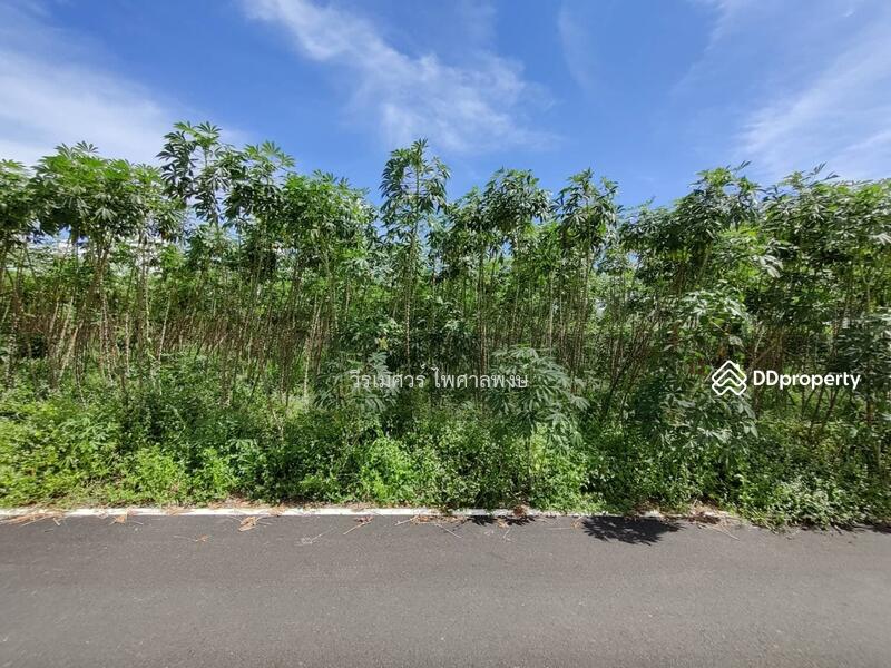 ขายถูก! ที่ดินพัทยา อ.สัตหีบ จ.ชลบุรี—ข้างShowroom MG (เหมาะสร้างบ้าน +สำนักงาน) 1-0-64 ไร่ 