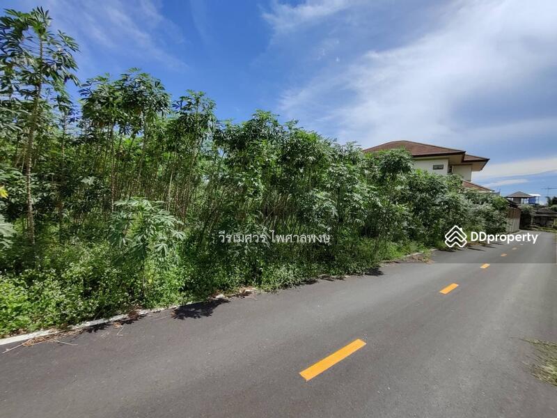 ขายถูก! ที่ดินพัทยา อ.สัตหีบ จ.ชลบุรี—ข้างShowroom MG (เหมาะสร้างบ้าน +สำนักงาน) 1-0-64 ไร่ 